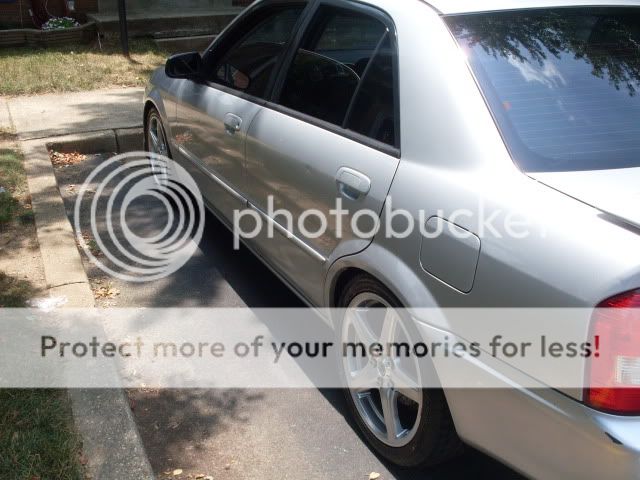 SDC10441.jpg