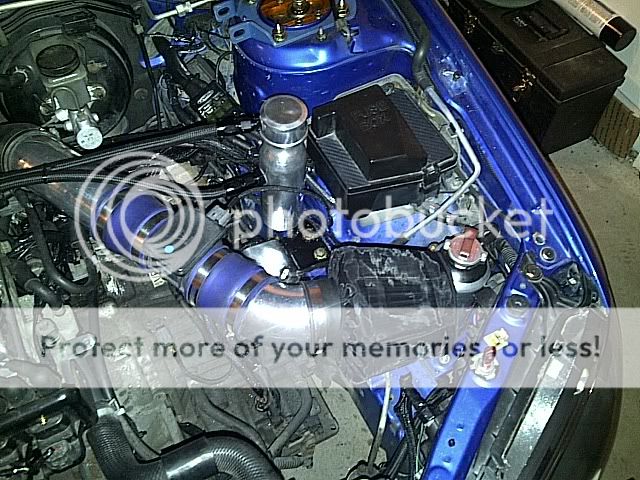 IMG-20110509-00044.jpg