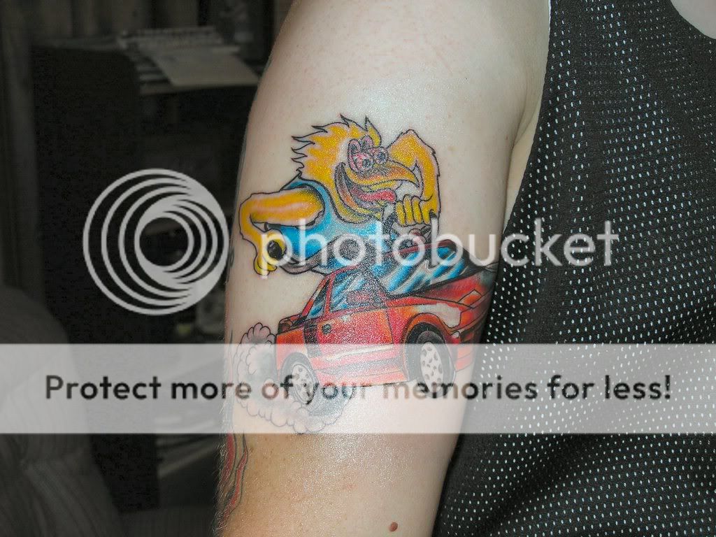 chickensnewtat0711.jpg