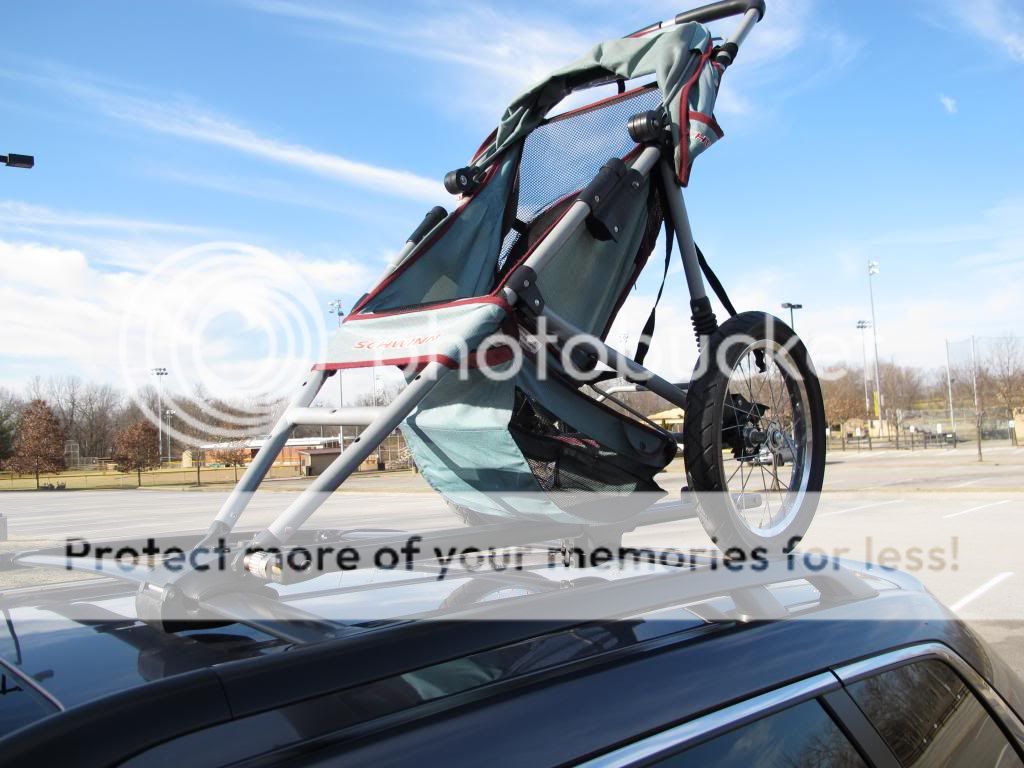 IMG_3865_zps5090f381.jpg