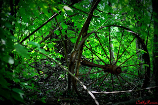 DSC_0063.JPG