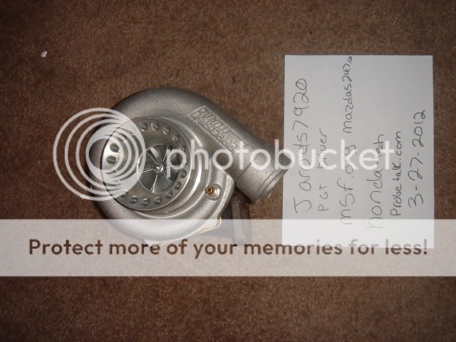DSC02038.jpg
