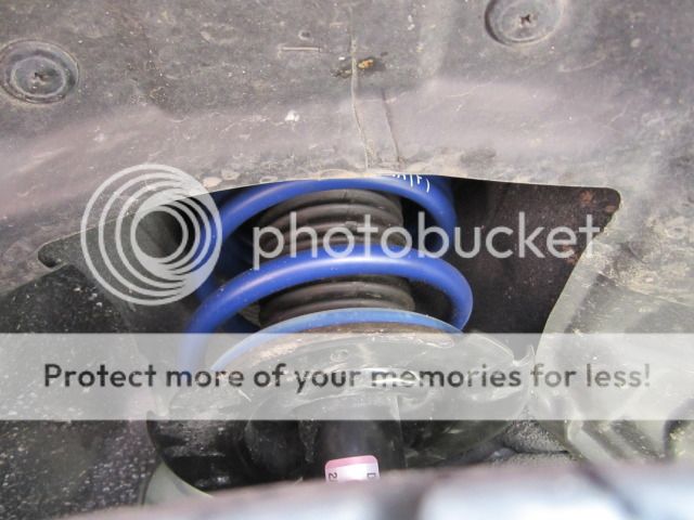 IMG_0353.jpg