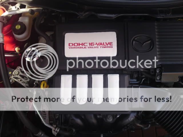 DSC00345.jpg