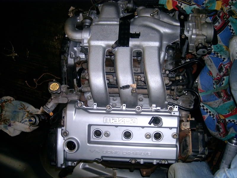 HPIM6196.jpg