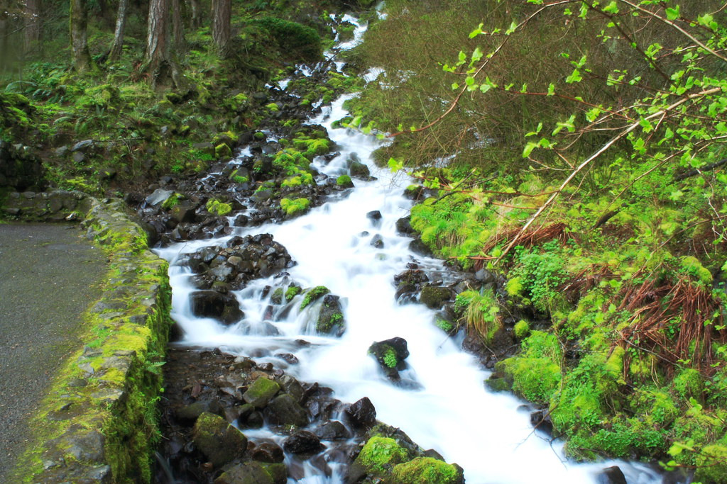 2417346775_909d6903e0_b.jpg