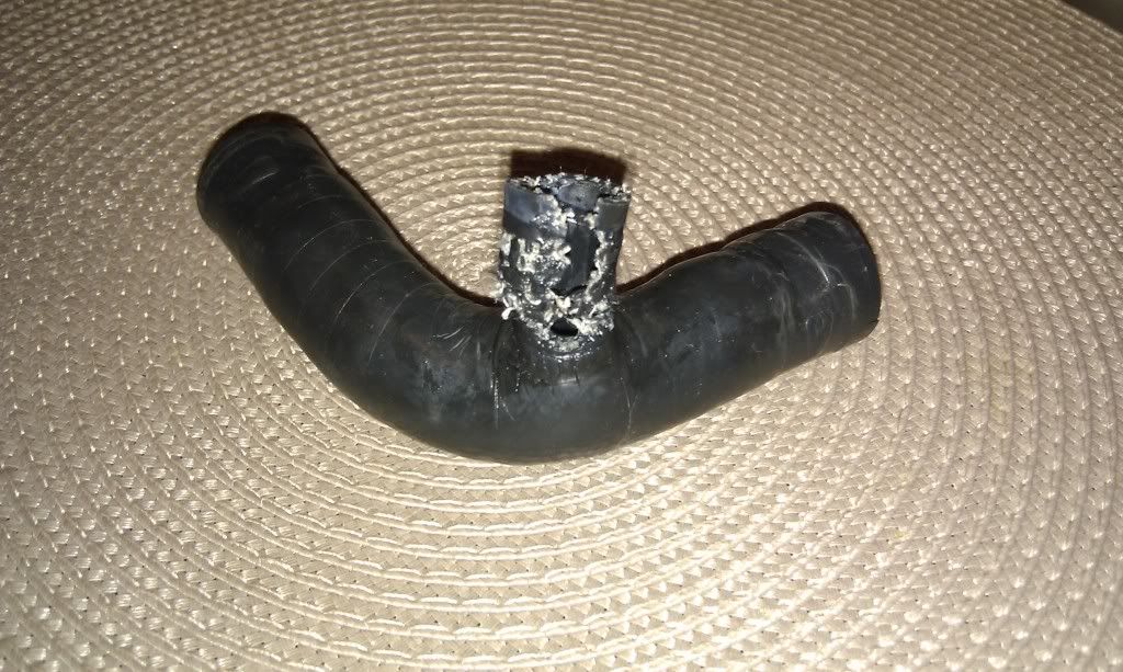 IMAG0293.jpg