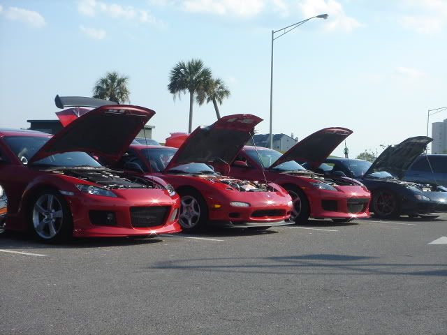 DSC03974.jpg
