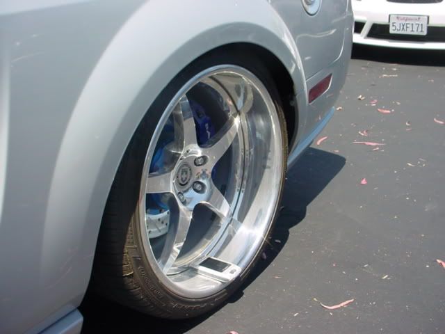 DSC08941.jpg