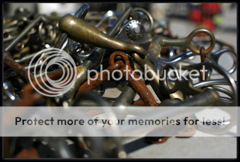 DSC_0873_edit.jpg