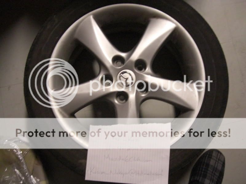 CIMG0811.jpg
