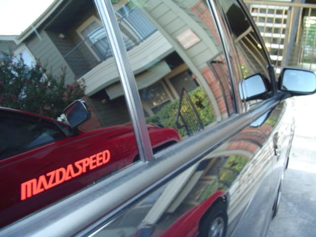 DSC05683.jpg