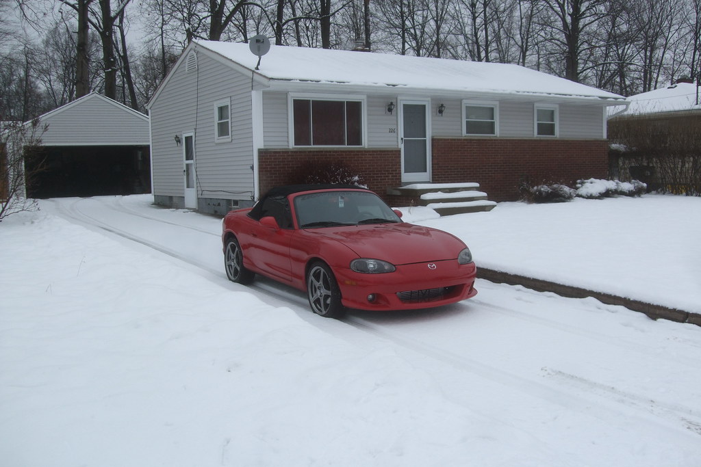 4231646990_33ef5c8dce_b.jpg