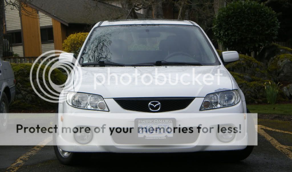 IMGP0375.jpg