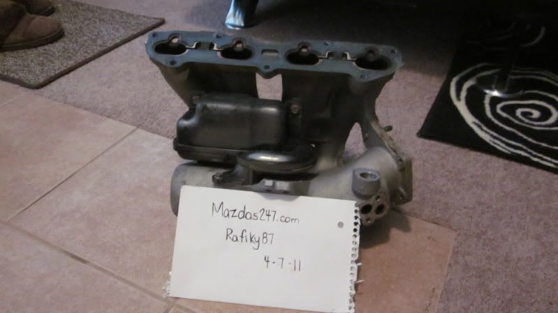 FS/FT: 626 Mani