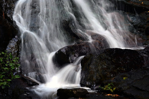 DSC_0069.JPG