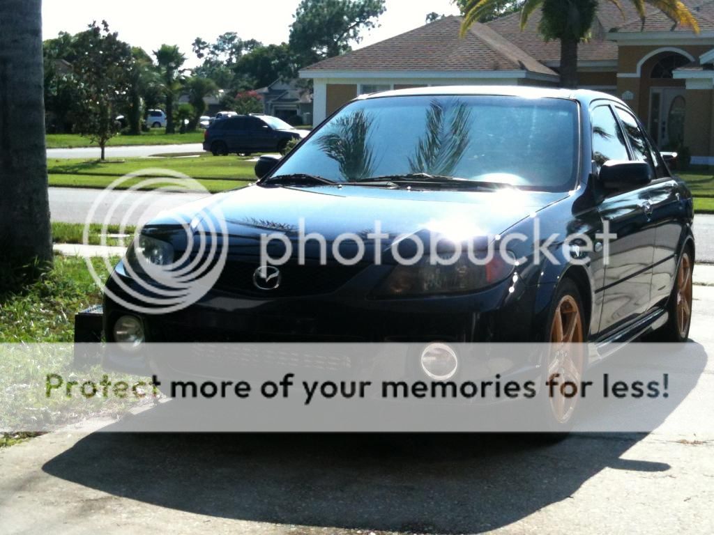 IMG_3801_zps06cc6661.jpg