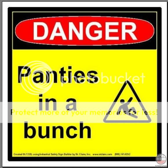 PANTIES_IN_A_BUNCH.jpg