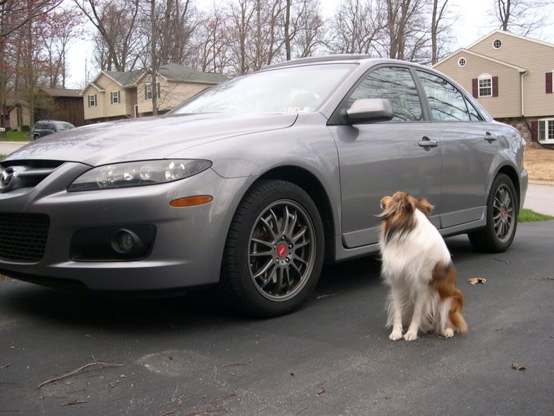 DSCN2390.jpg