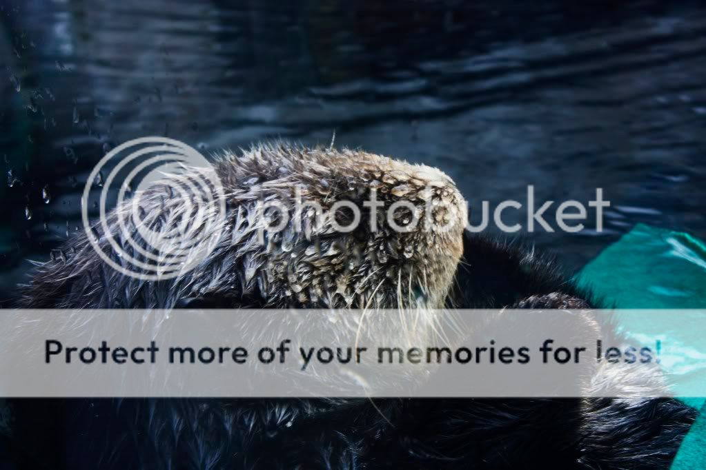 _MG_2525.jpg