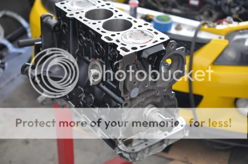 DSC_1830_zpse266b7e3.jpg