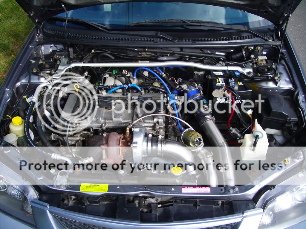 IMGP3207.jpg