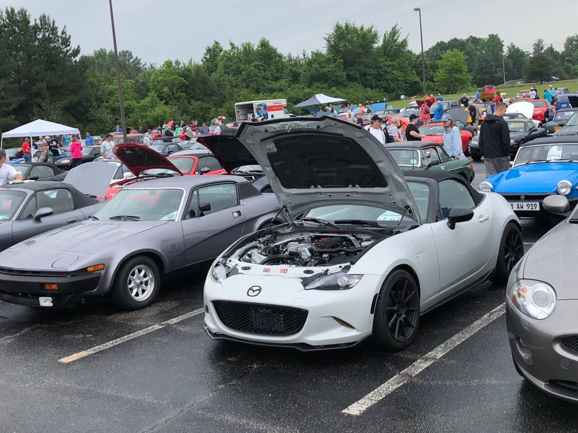 3ccff7622abd9a5f29fdf66ac19b8619.jpg