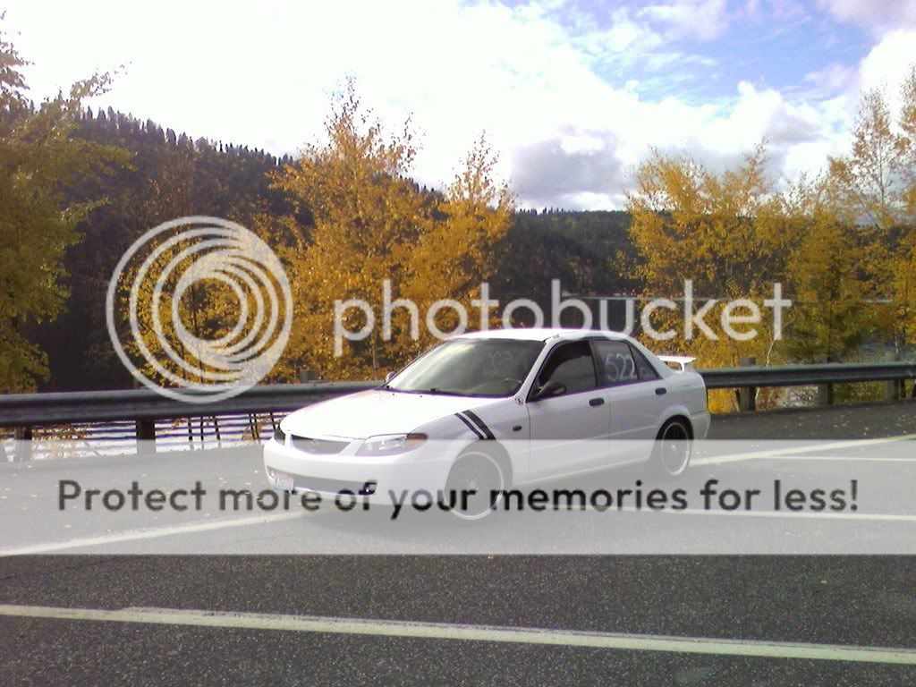 Picture070.jpg