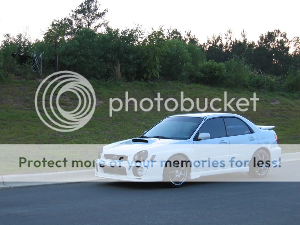 IMG_4174.jpg