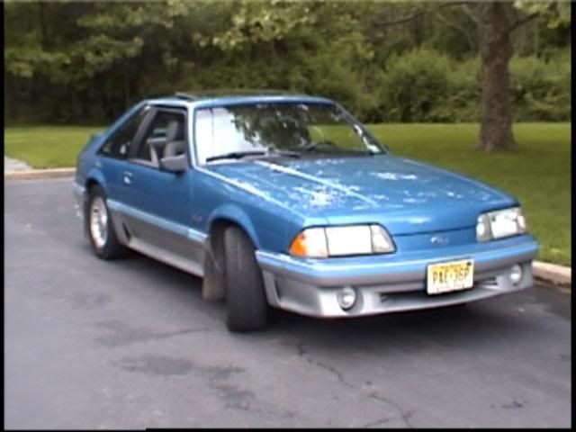 Mustang2.jpg