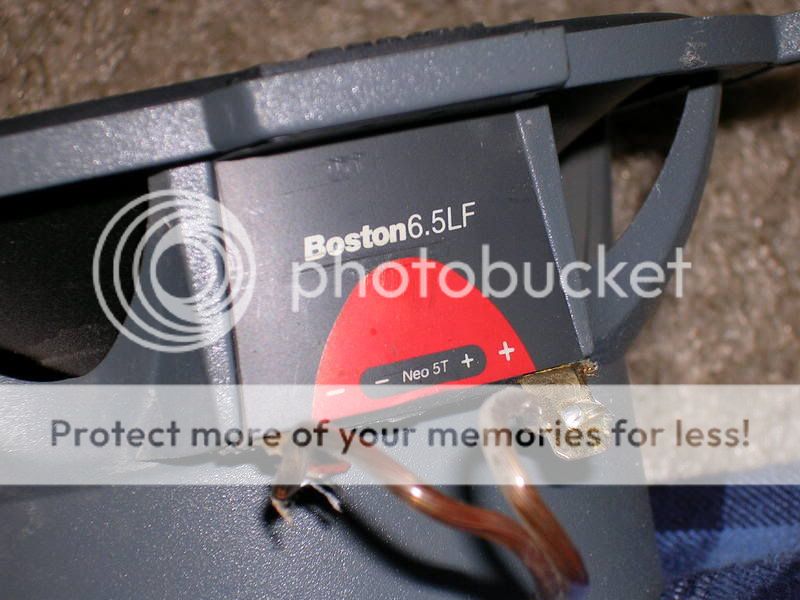 DSCN1705.jpg
