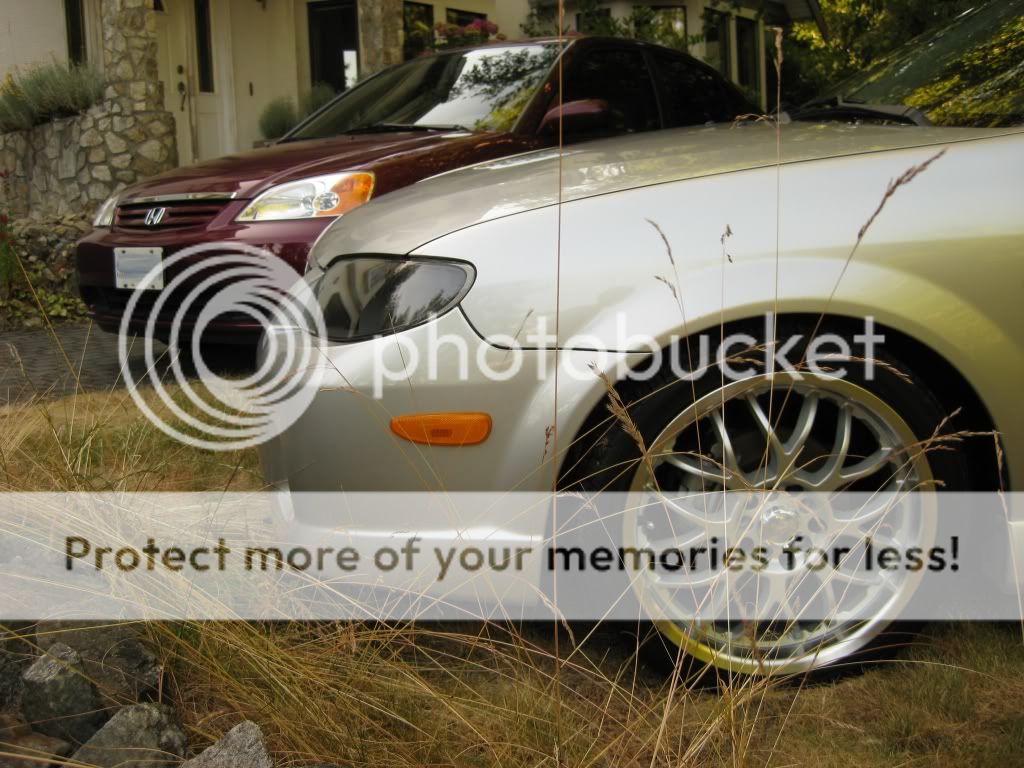 IMG_1465copy.jpg