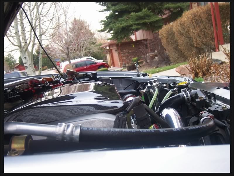 springcleaning082.jpg