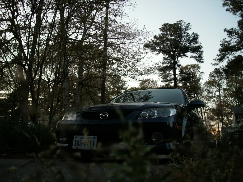 Picture125.jpg