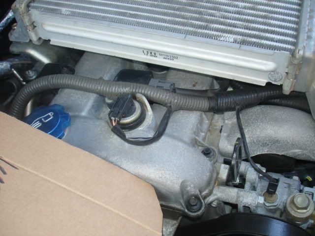 DSC00428.jpg
