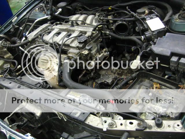 IMG_1431.jpg