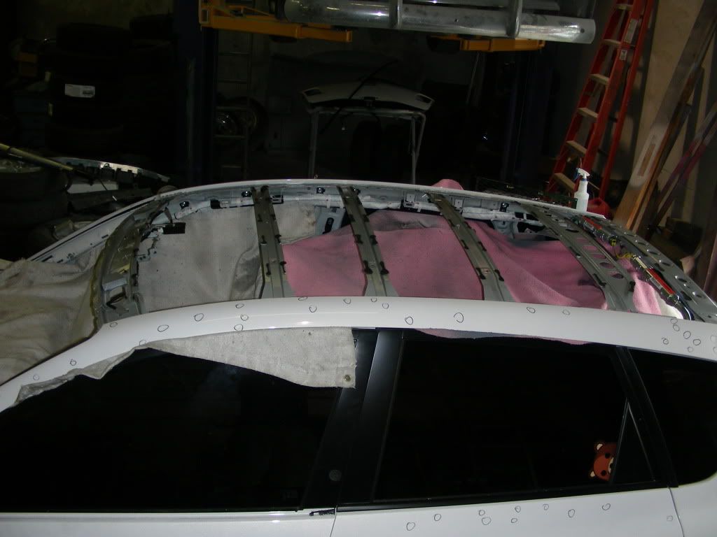 DSCN0513.jpg