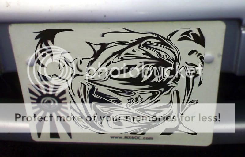 DSC00040.jpg