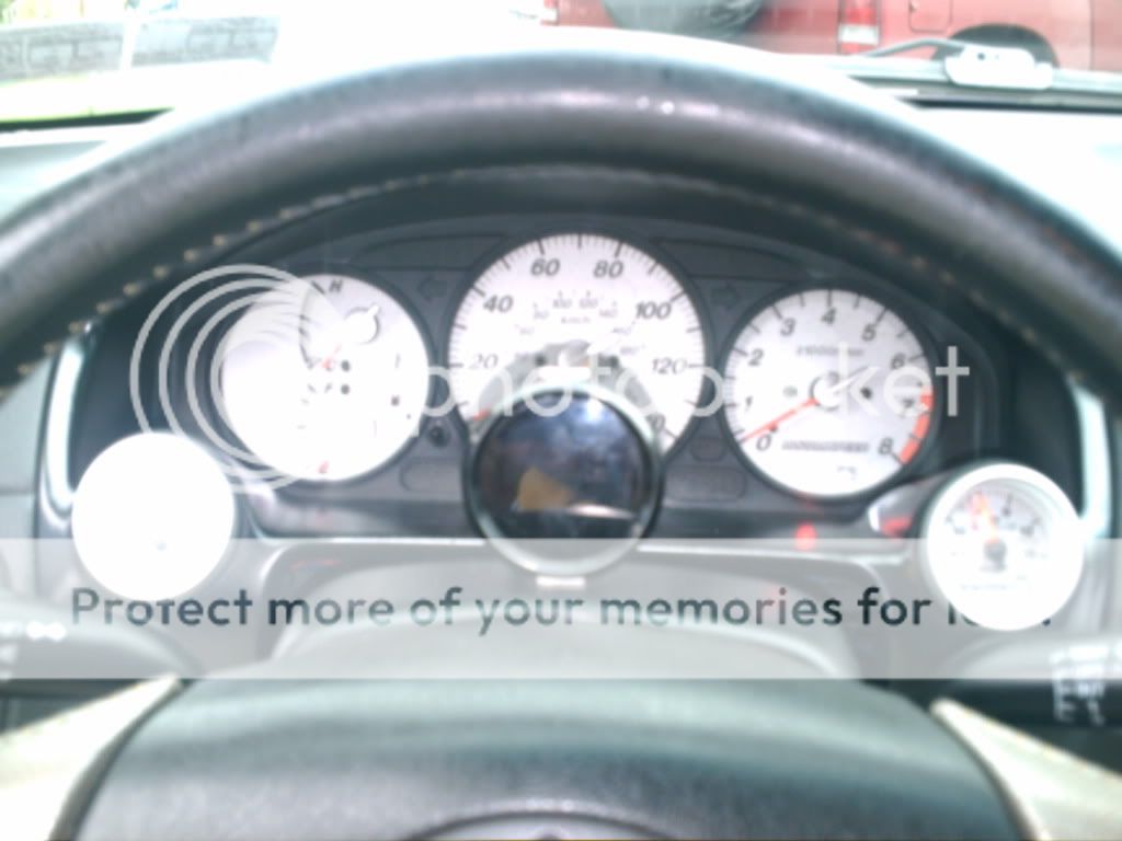 PICT0239.jpg