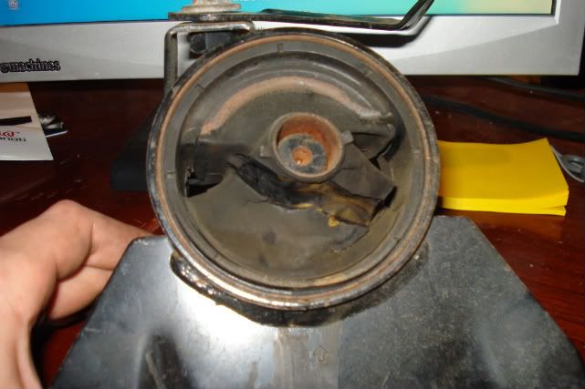 DSC00536-1.jpg