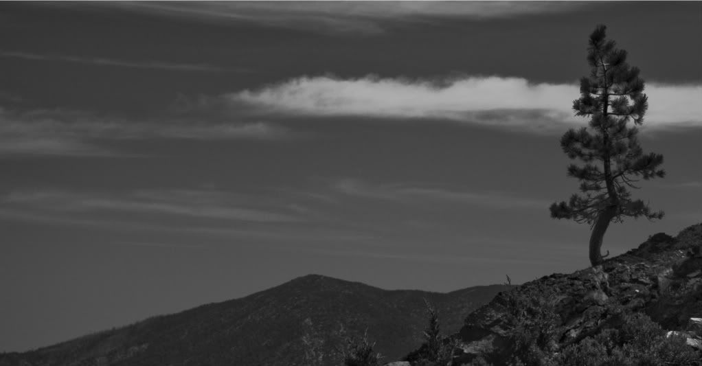 DSC_0070-1.jpg