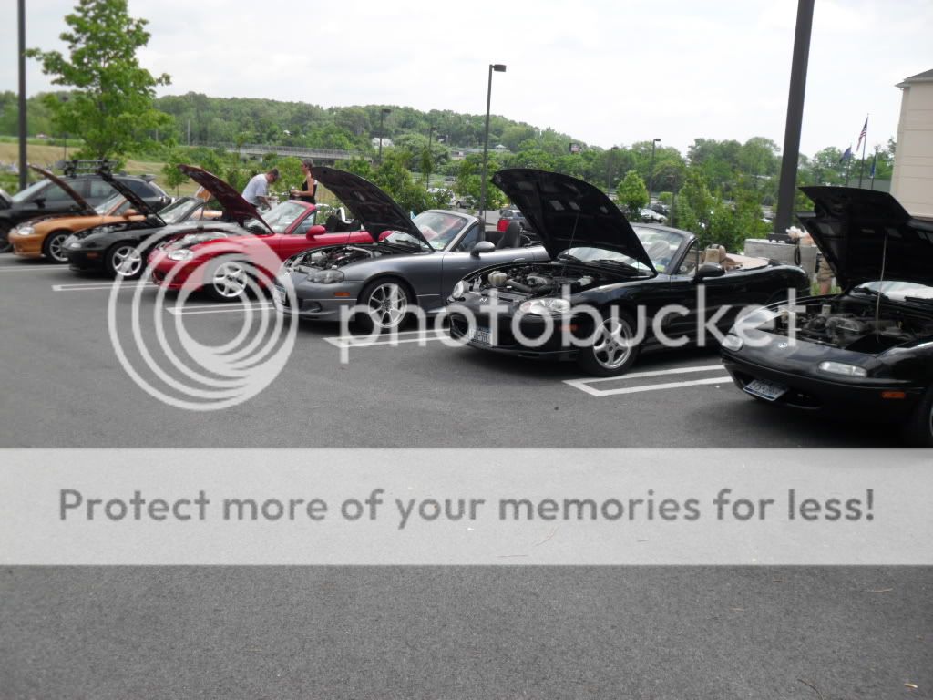 SDC11718.jpg