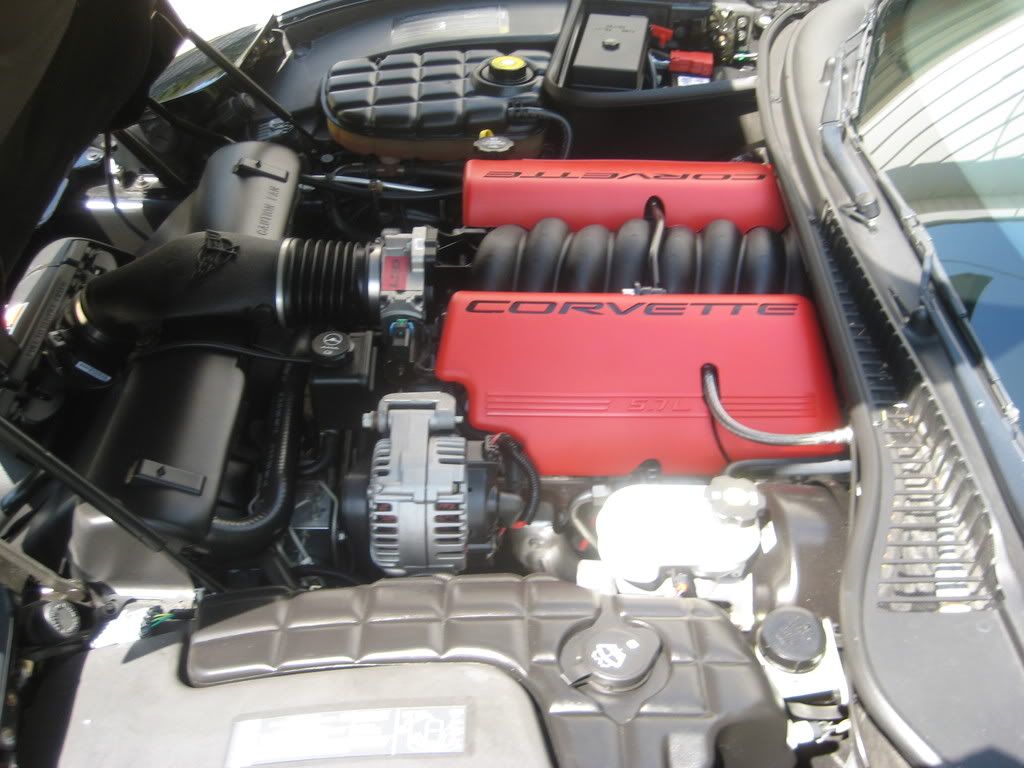c5z06016.jpg