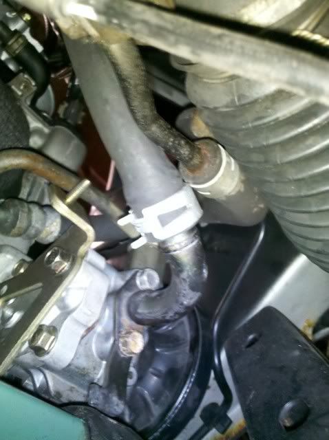 IMG_20110517_124951.jpg