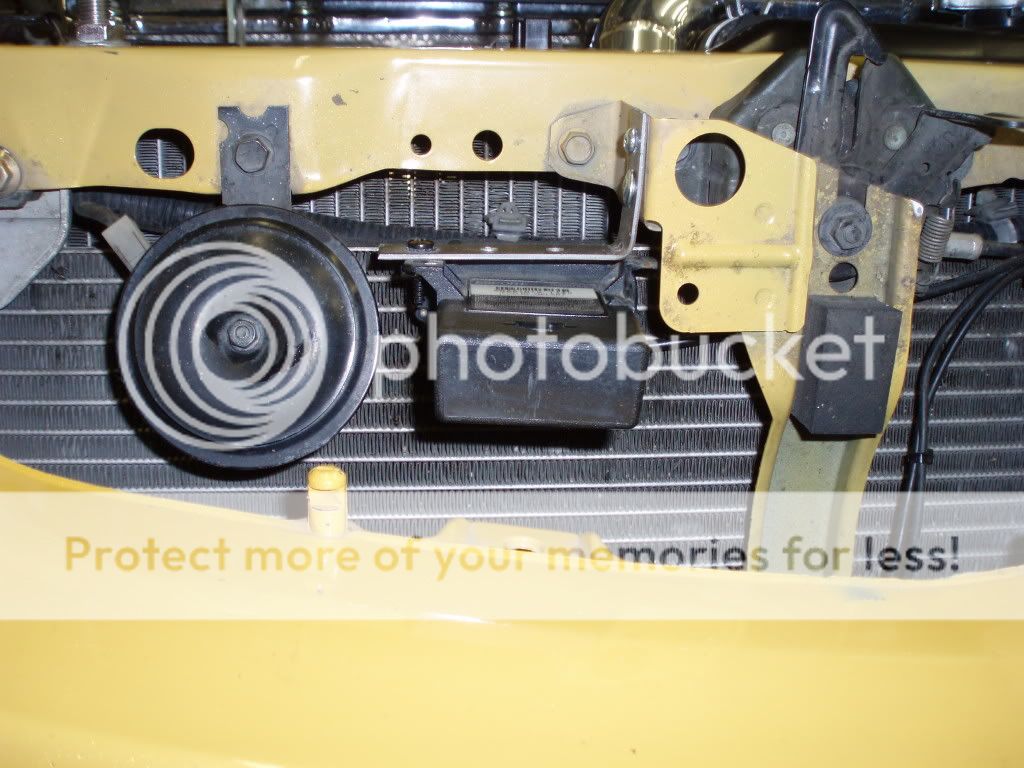 pictures083.jpg