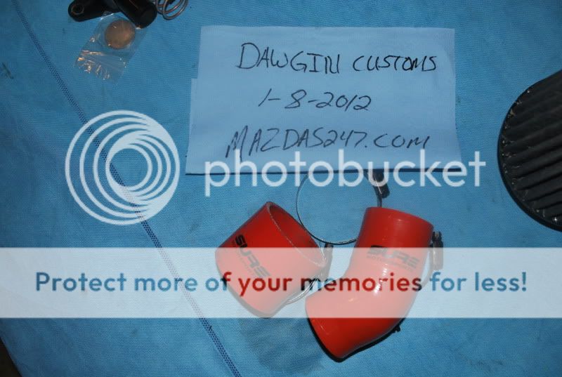 DSC_0381.jpg