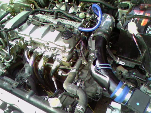062806_1921.jpg