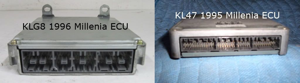 ecus.jpg