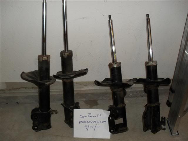 SDC10787Small.jpg