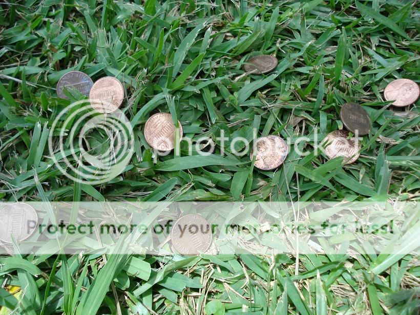 Pennies-ground2.jpg
